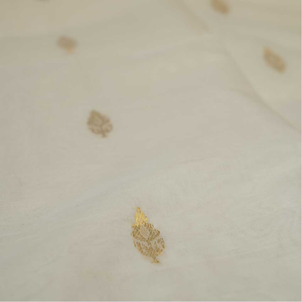 Handloom Cotton Saree With Temple Border
